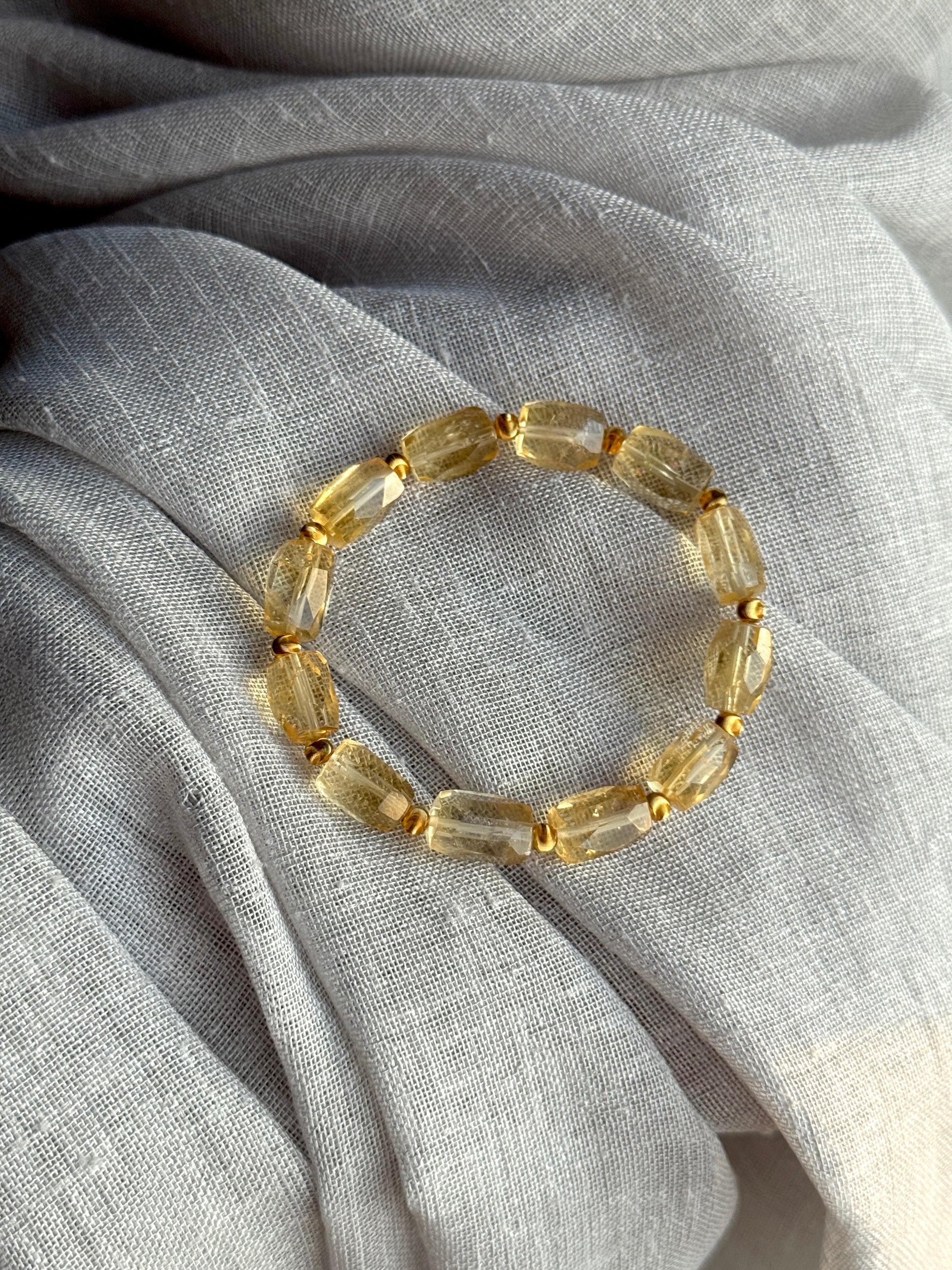 金秋暖阳 Golden Autumn Sun