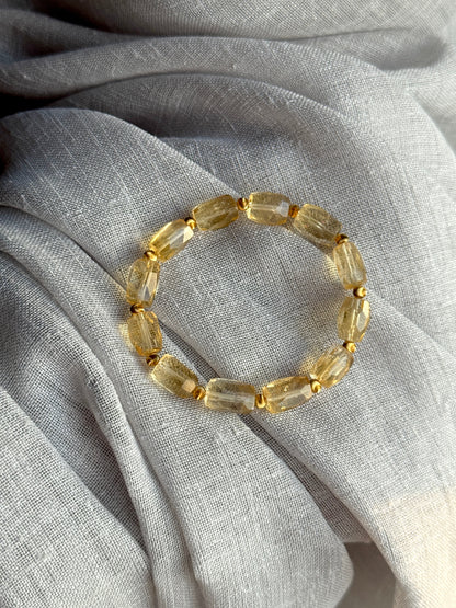 金秋暖阳 Golden Autumn Sun