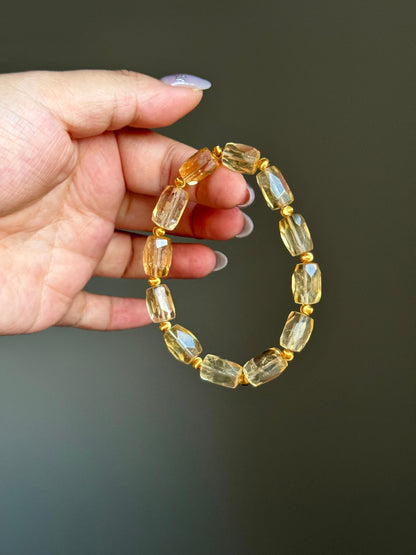 金秋暖阳 Golden Autumn Sun