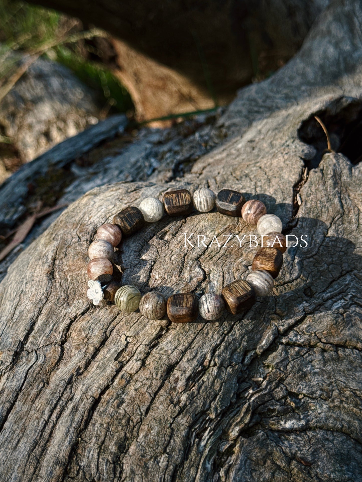 枯木逢春 Withered Wood Spring